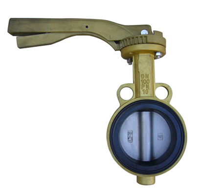 Butterfly Valve Manufacturer - Shanghai Dreamax Industrial